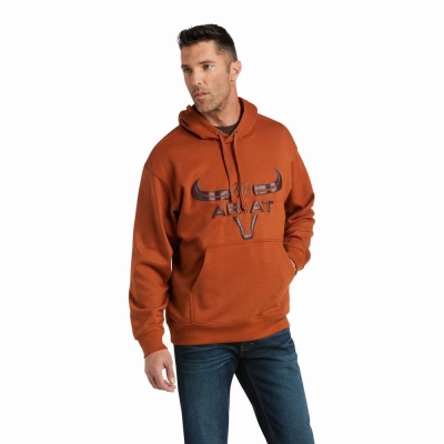 Beige Men's Ariat Basic Hoodies | 5421-EGMQH