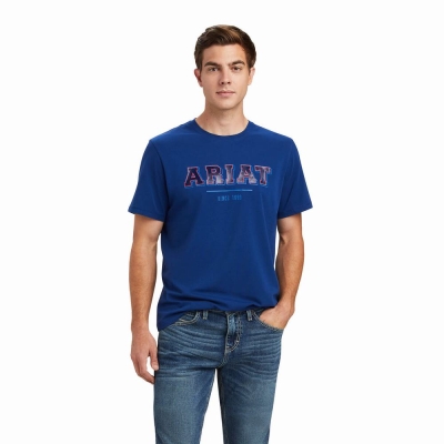 Blue Men's Ariat Varsity Polo Shirts | 9621-RITWG