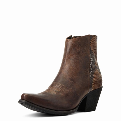 Brown Women's Ariat Carmelita Booties | 3015-JMPKE