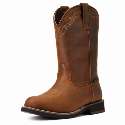 Brown Women's Ariat Delilah Round Toe Waterproof Western Boots | 1850-CVBNG