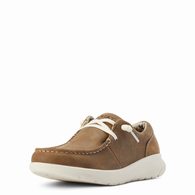 Brown Women's Ariat Hilo Sneakers | 8957-GDTFN