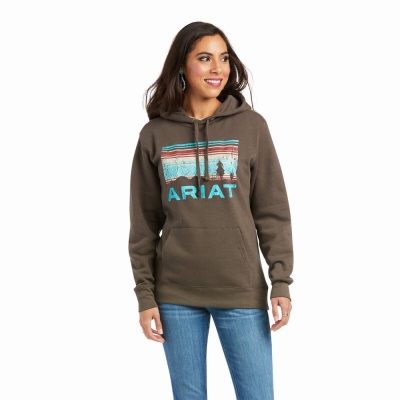 Brown Women's Ariat REAL Arm Logo Hoodies | 5832-VCMFQ