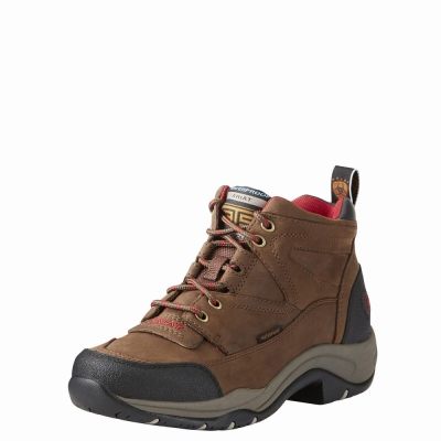 Brown Women's Ariat Terrain Waterproof Hiking Boots | 1362-VUCBH