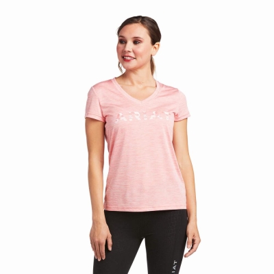 Coral Women's Ariat Laguna Logo Tops | 3294-FQIND