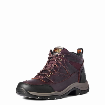 Dark Brown Men's Ariat Terrain Hiking Boots | 8602-TRFYC