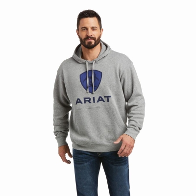 Deep Blue Men's Ariat Basic Hoodies | 2570-JFXHA