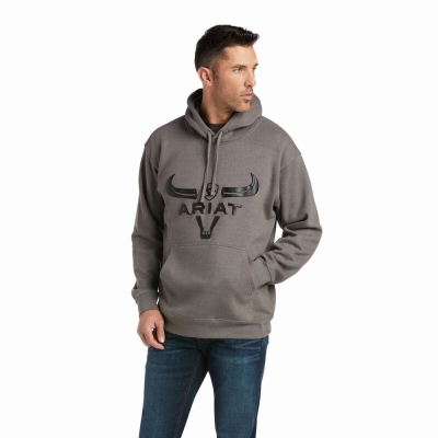 Grey Men's Ariat Basic Hoodies | 0642-WVXDO