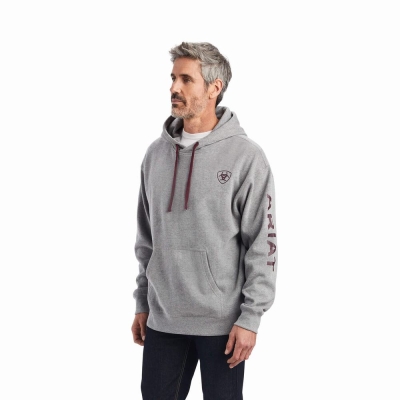 Grey Men's Ariat Logo Hoodies | 4836-RIGJL