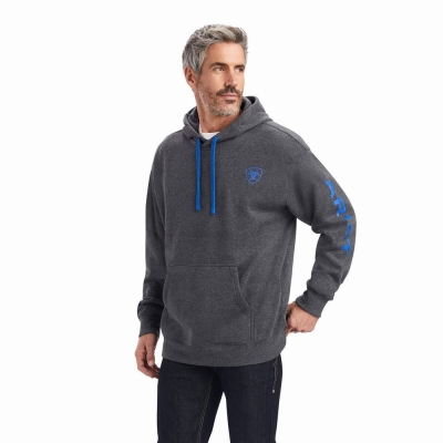 Grey Men's Ariat Logo Hoodies | 7042-ODRSA