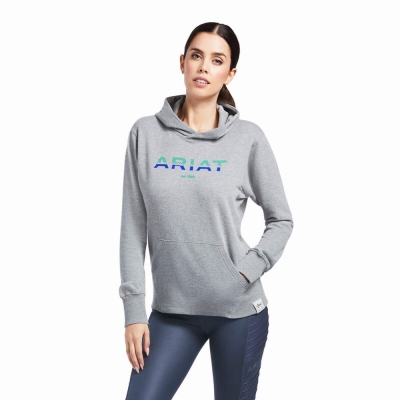 Grey Women's Ariat 3D Logo 2.0 Hoodies | 9436-CIEVP