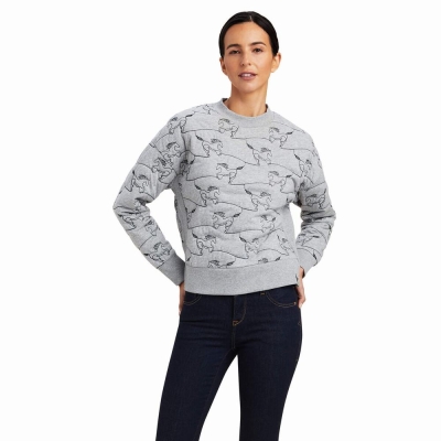 Grey Women's Ariat Contour Equine Crew Hoodies | 4921-XDSWL