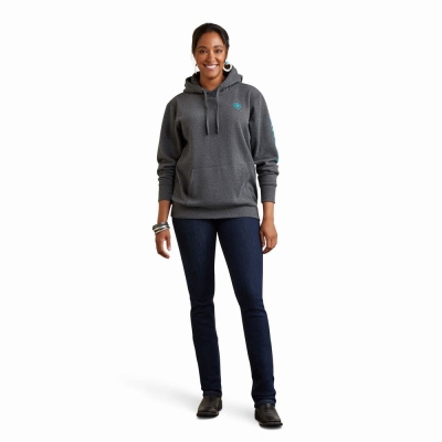 Grey Women's Ariat Logo Hoodies | 1794-NOJCQ