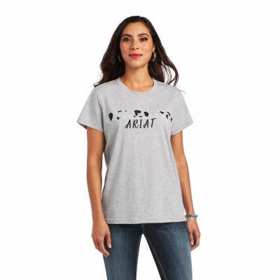 Grey Women's Ariat REAL Cow Pasture Tops | 1475-IKVRW