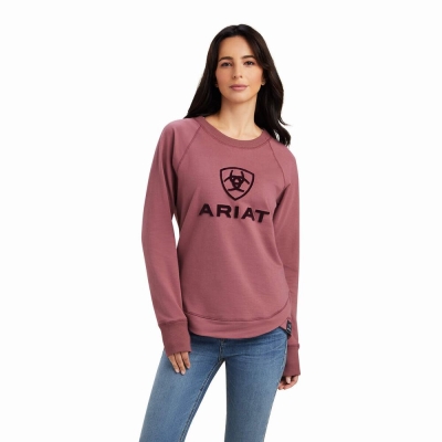 Multicolor Women's Ariat Benicia Hoodies | 1064-LSRBF