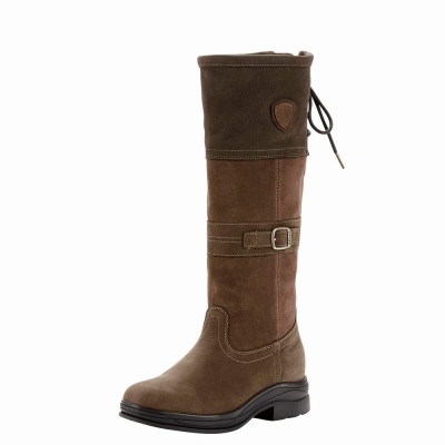 Multicolor Women's Ariat Langdale Waterproof English Riding Boots | 5926-KZDYS