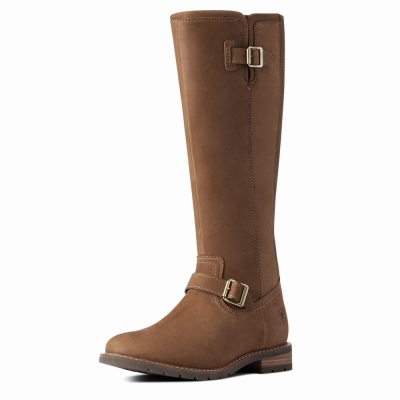 Multicolor Women's Ariat Sadie Waterproof Dress Boots | 2594-ETCLG