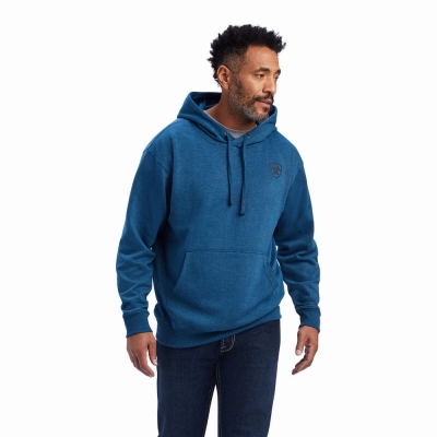 Navy Men's Ariat Logo Hoodies | 7402-UPTCD