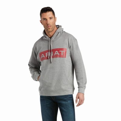 Orange Men's Ariat Basic Hoodies | 6832-HWYRS