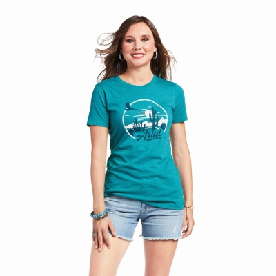 Turquoise Green Women's Ariat Opuntia SS Tops | 1456-PSLRJ