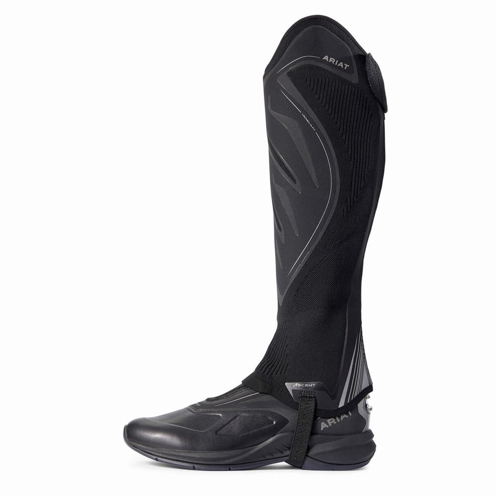 Black Men's Ariat Ascent Half Chap English Riding Boots | 7120-QXRIP