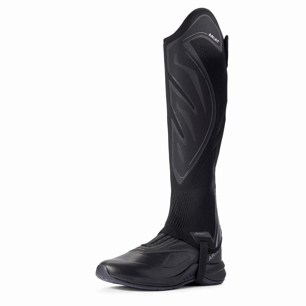 Black Women's Ariat Ascent Half Chap English Riding Boots | 5974-HORPI