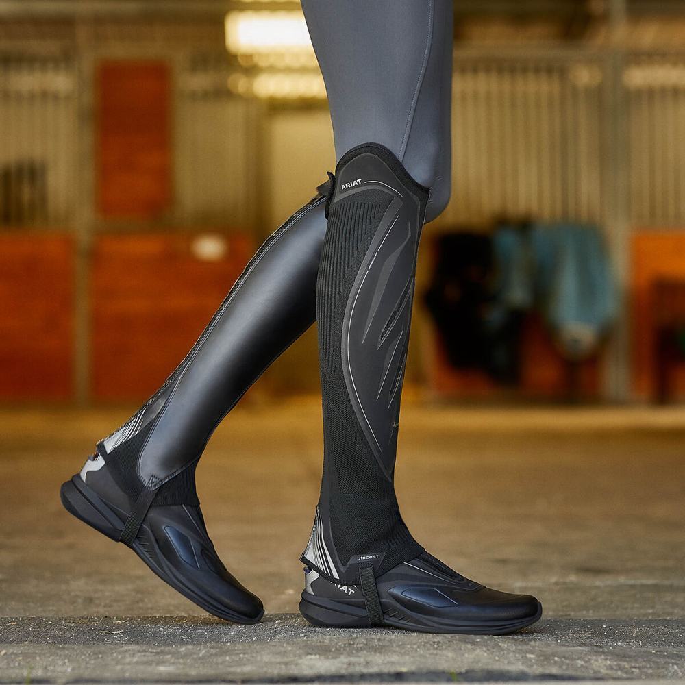 Black Women's Ariat Ascent Half Chap English Riding Boots | 5974-HORPI