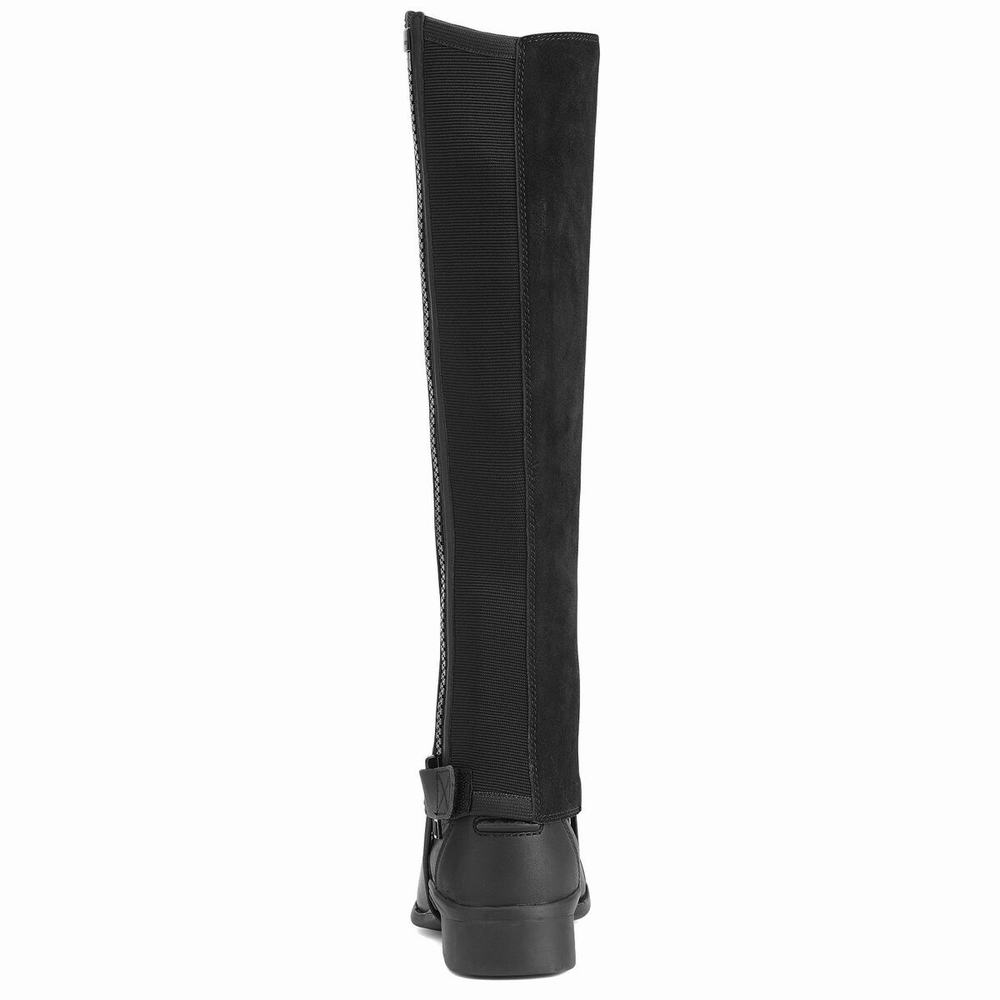 Black Women's Ariat Scout Chap Half Chap English Riding Boots | 4132-AOJCS