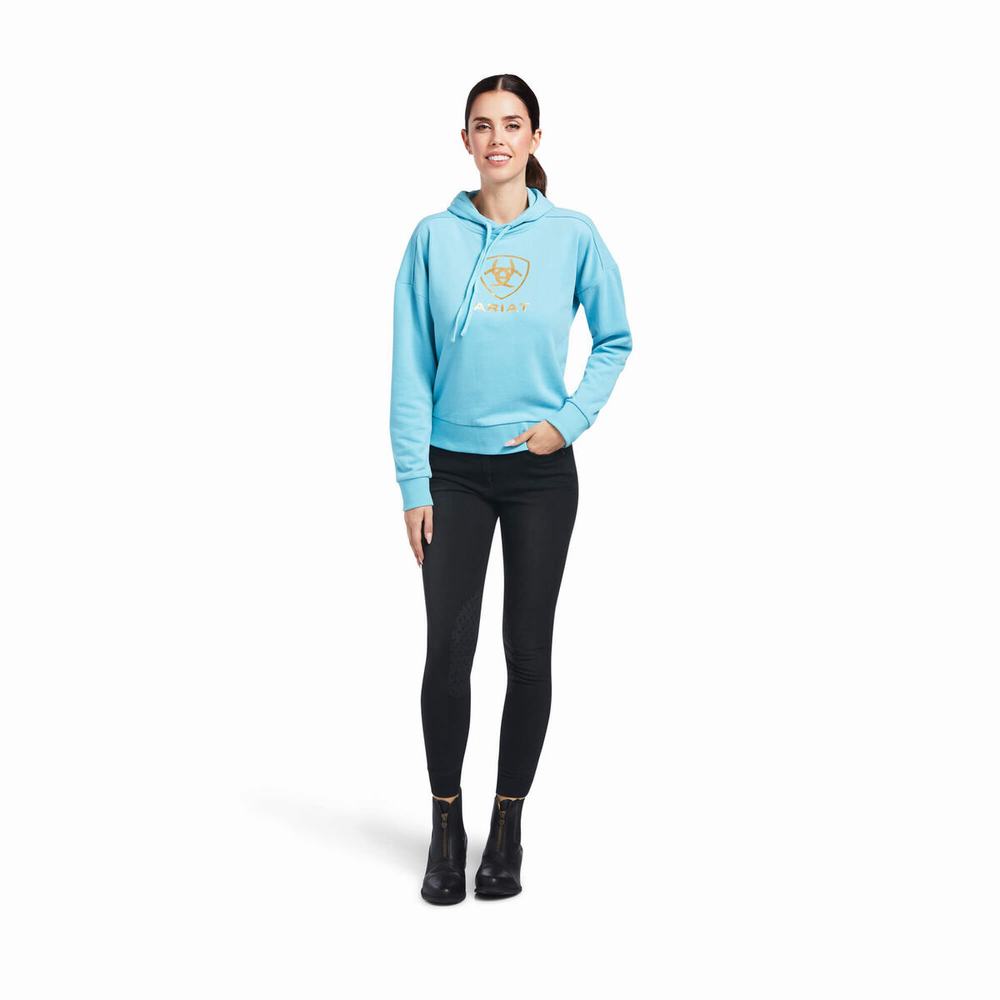 Blue Women's Ariat Just Hoodies | 2735-XVJSG