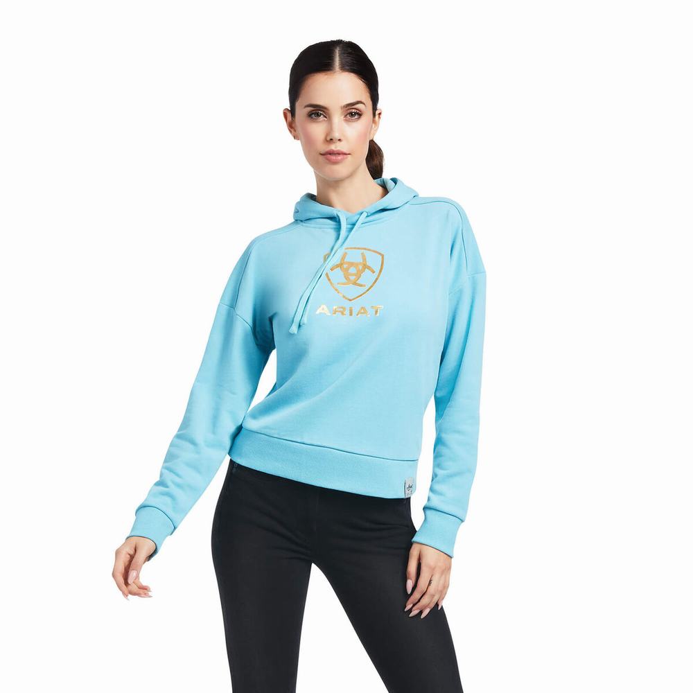 Blue Women\'s Ariat Just Hoodies | 2735-XVJSG