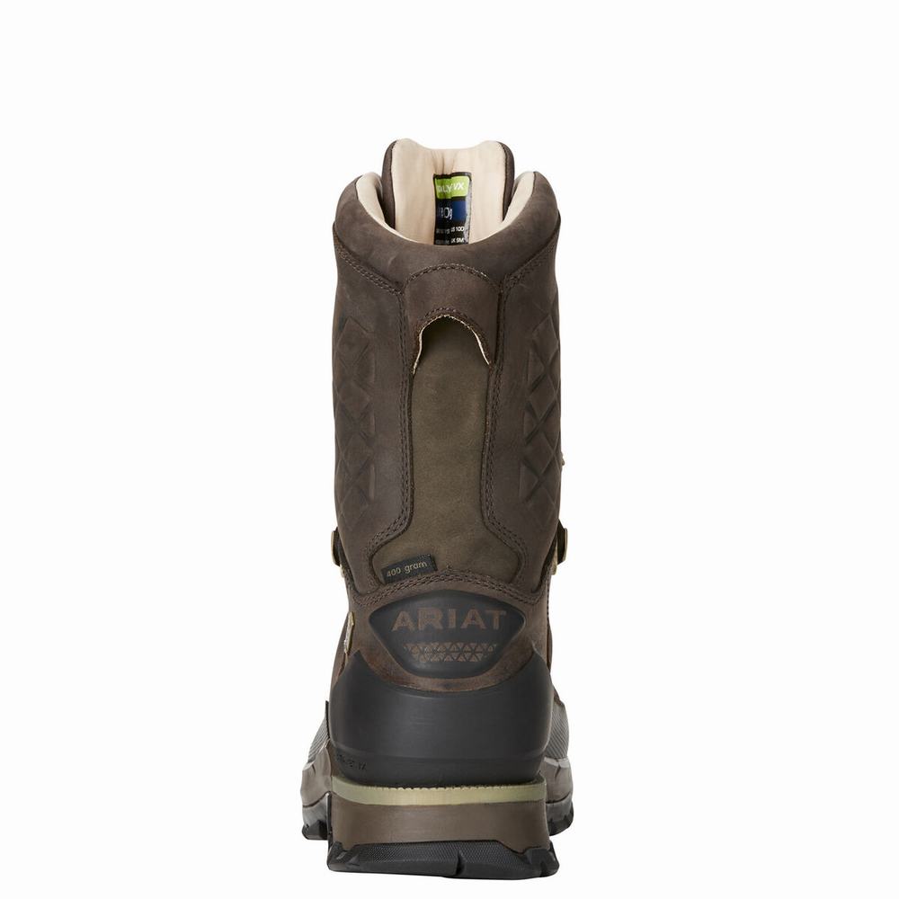 Brown Men's Ariat Catalyst VX Defiant 10