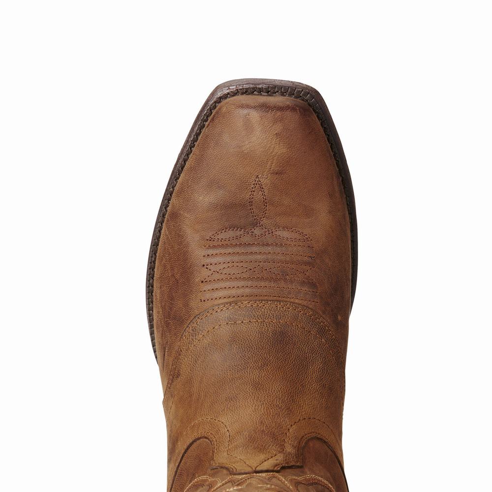 Brown Men's Ariat Circuit Striker Western Boots | 5842-WMAEX