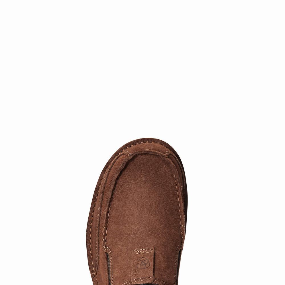 Brown Men's Ariat Cruiser Sneakers | 2043-KLZRY