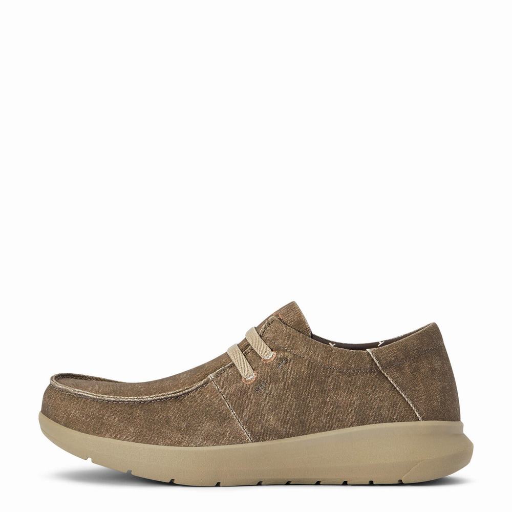 Brown Men's Ariat Hilo Stretch Sneakers | 6571-TJVRY