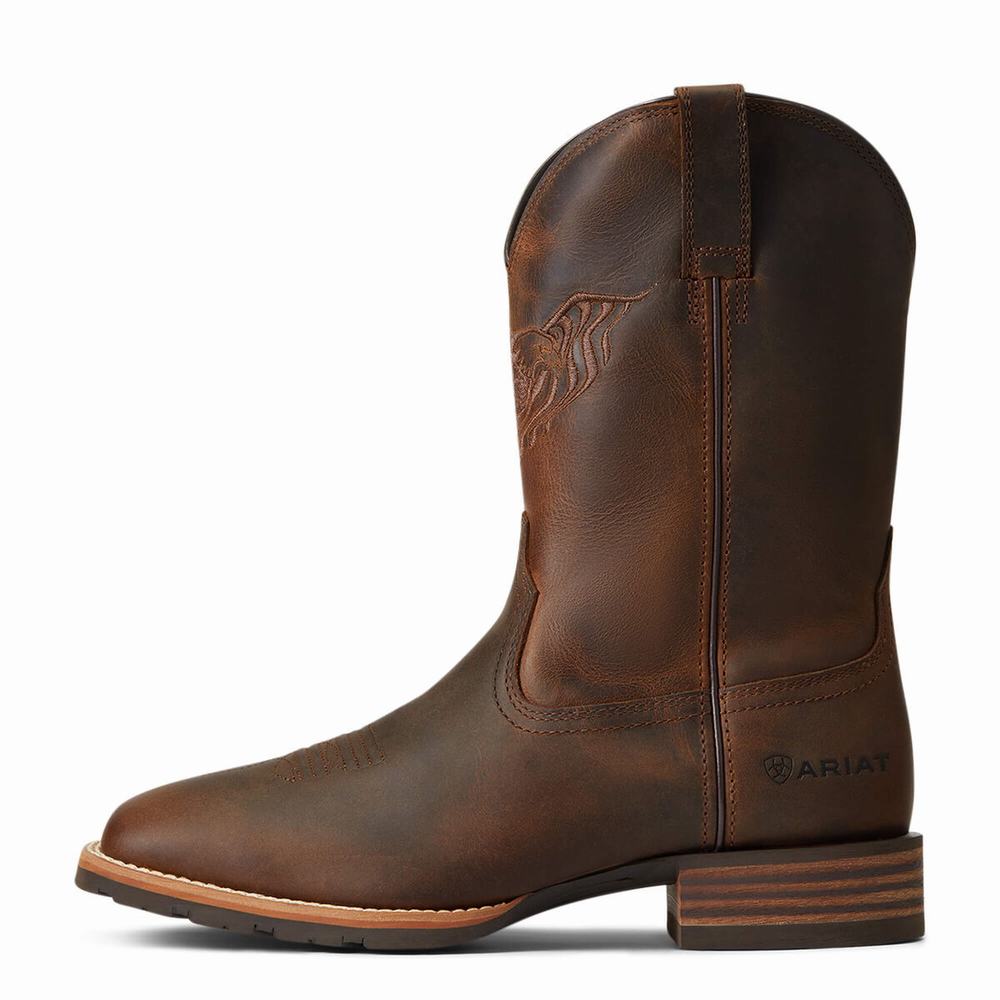 Brown Men's Ariat Hybrid Fly High Western Boots | 3087-PJZND