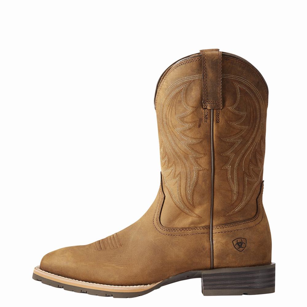 Brown Men's Ariat Hybrid Rancher Western Boots | 2681-HLNIR