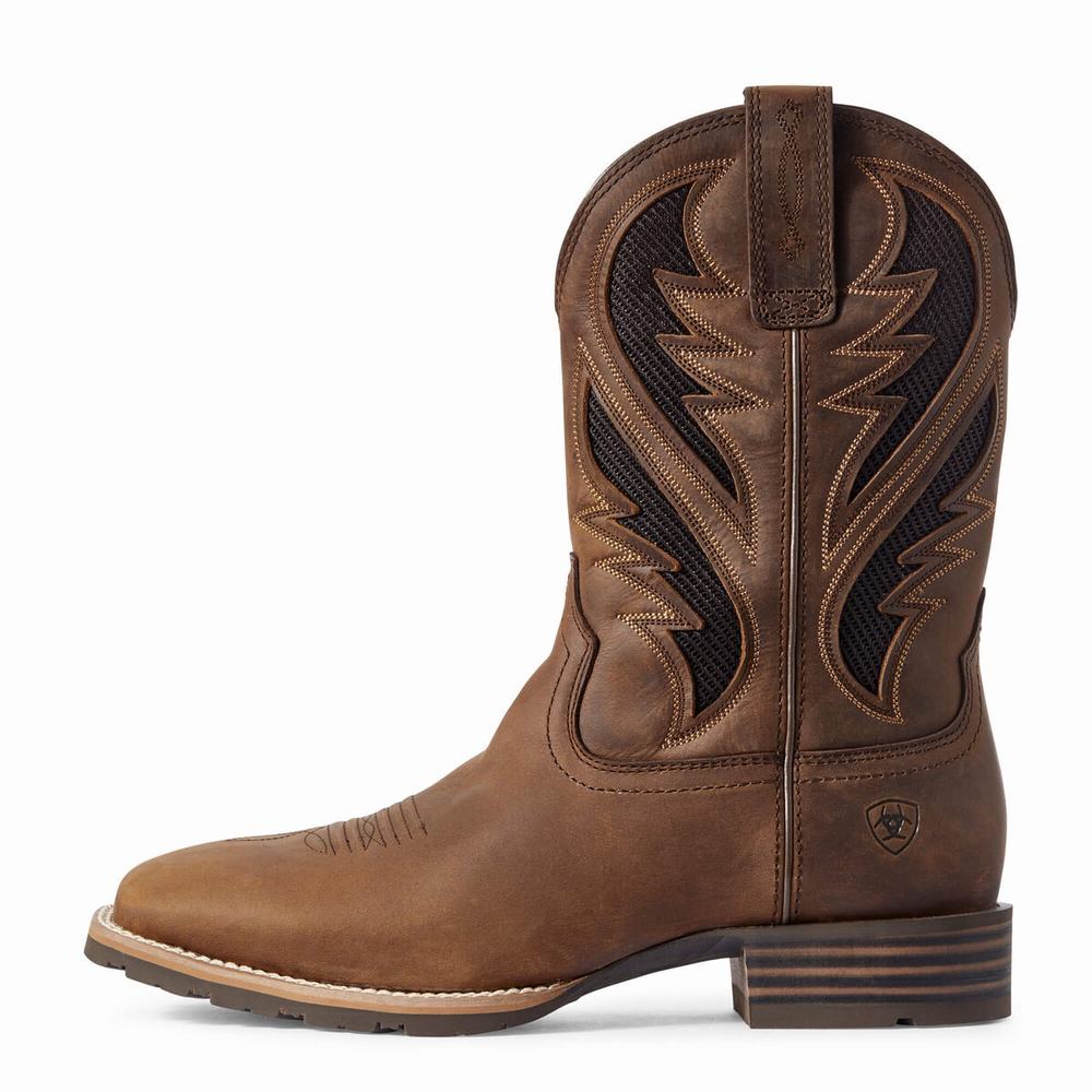 Brown Men's Ariat Hybrid VentTEK Western Boots | 9514-BRODX