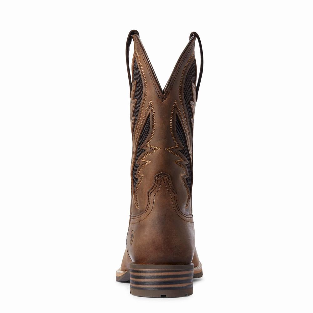 Brown Men's Ariat Hybrid VentTEK Western Boots | 9514-BRODX