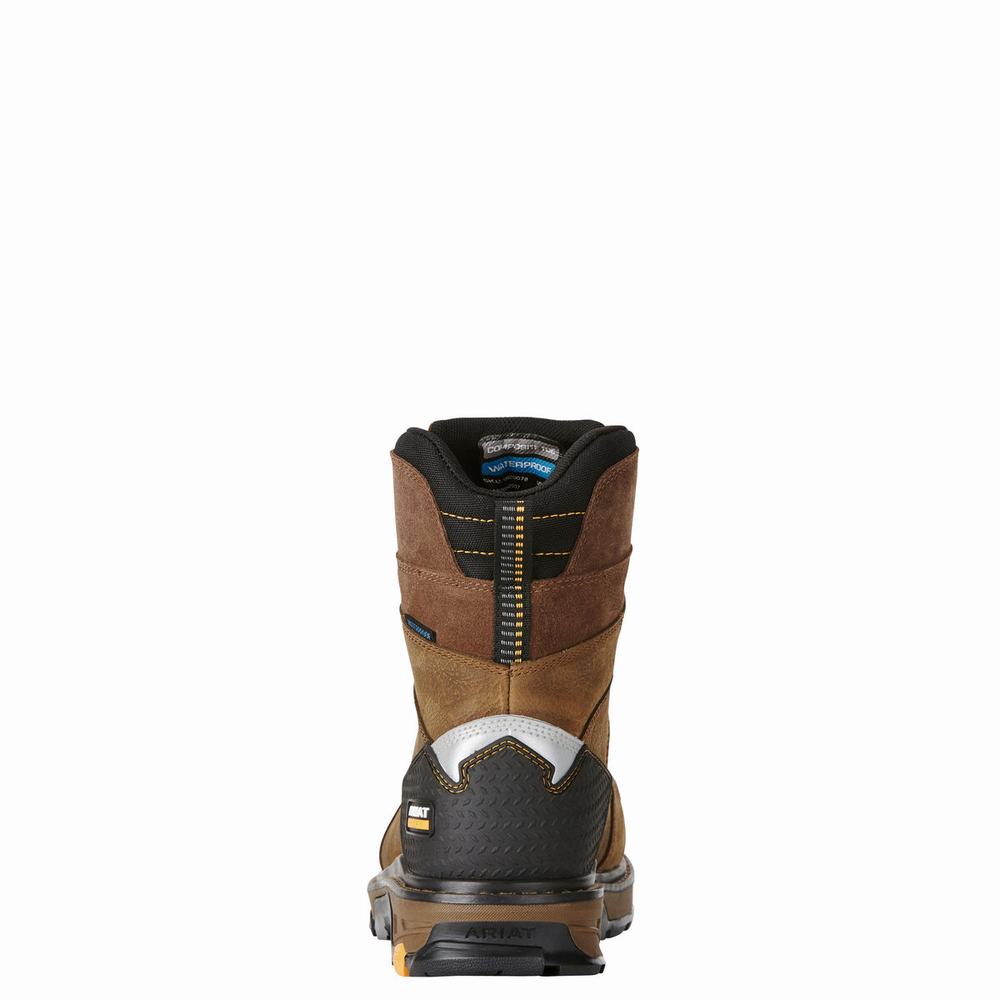 Brown Men's Ariat Intrepid 8