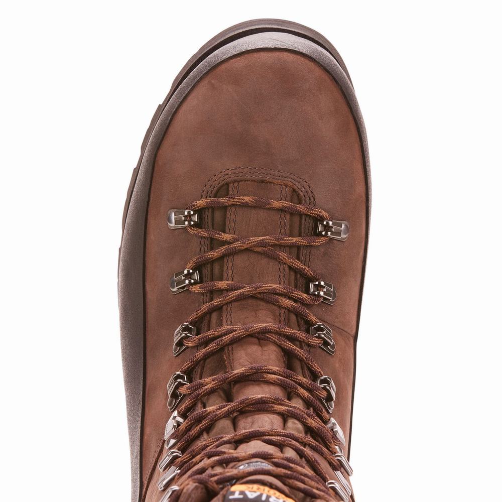 Brown Men's Ariat Linesman Ridge 10