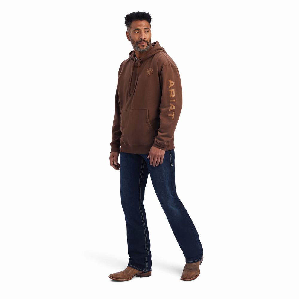 Brown Men's Ariat Logo Hoodies | 4850-ZPIOG