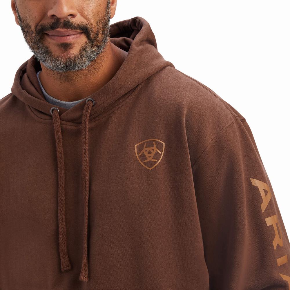 Brown Men's Ariat Logo Hoodies | 4850-ZPIOG