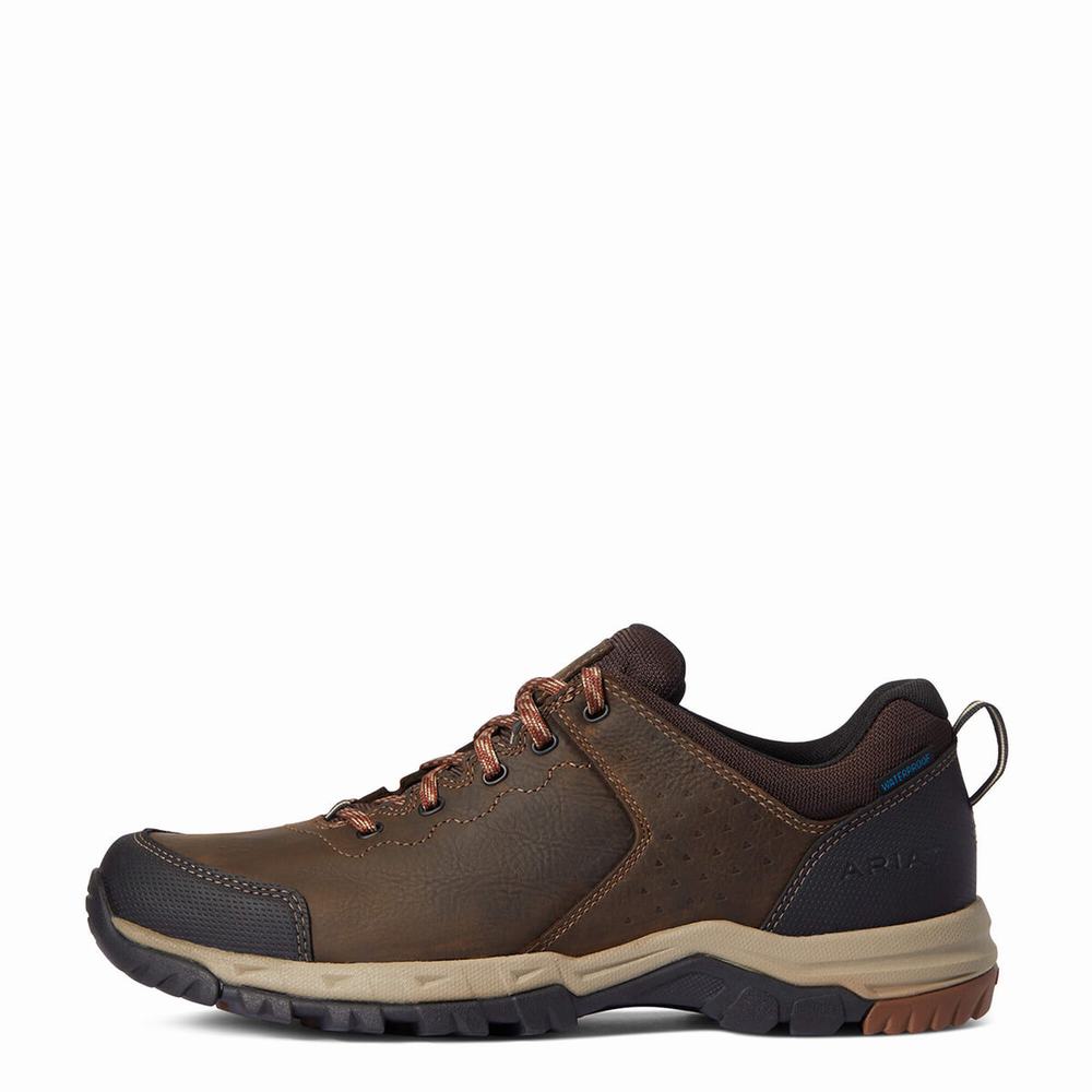 Brown Men's Ariat Skyline Low Waterproof Hiking Boots | 6793-OWIQZ