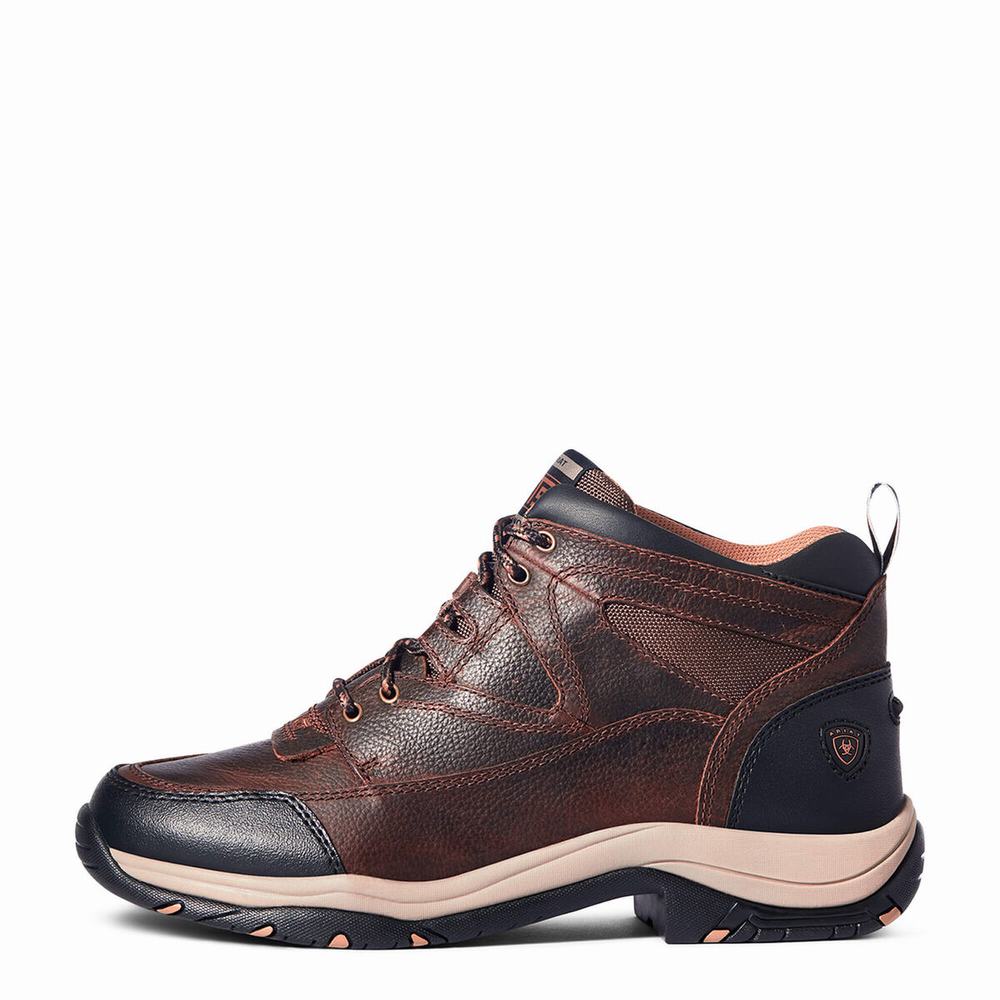 Brown Men's Ariat Terrain Hiking Boots | 6478-UDHIR