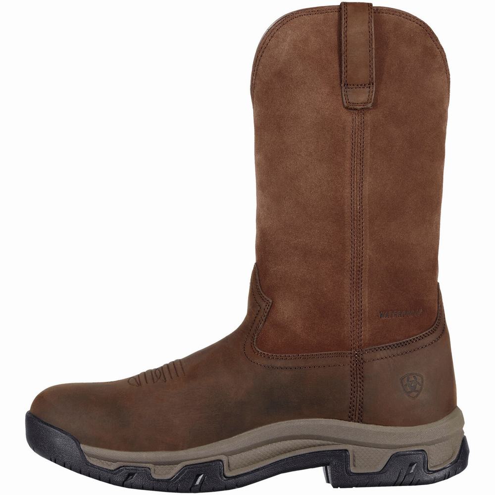 Brown Men's Ariat Terrain Pull On Waterproof English Riding Boots | 5628-SEXMO