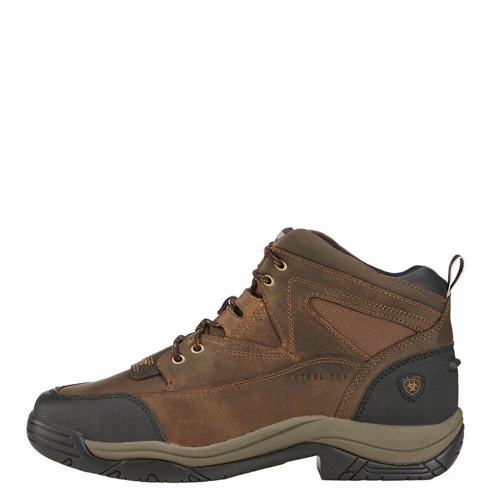 Brown Men's Ariat Terrain Wide Square Toe Steel Toe Hiking Boots | 7156-LTWOC