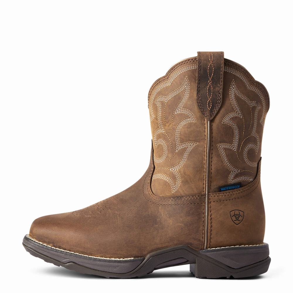 Brown Women's Ariat Anthem II Waterproof Waterproof Boots | 1659-XTQLU