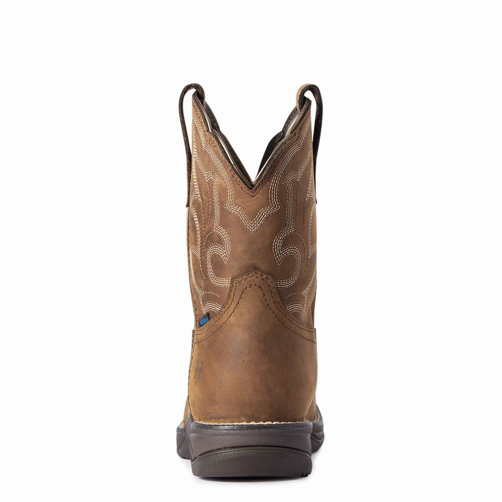 Brown Women's Ariat Anthem II Waterproof Waterproof Boots | 1659-XTQLU