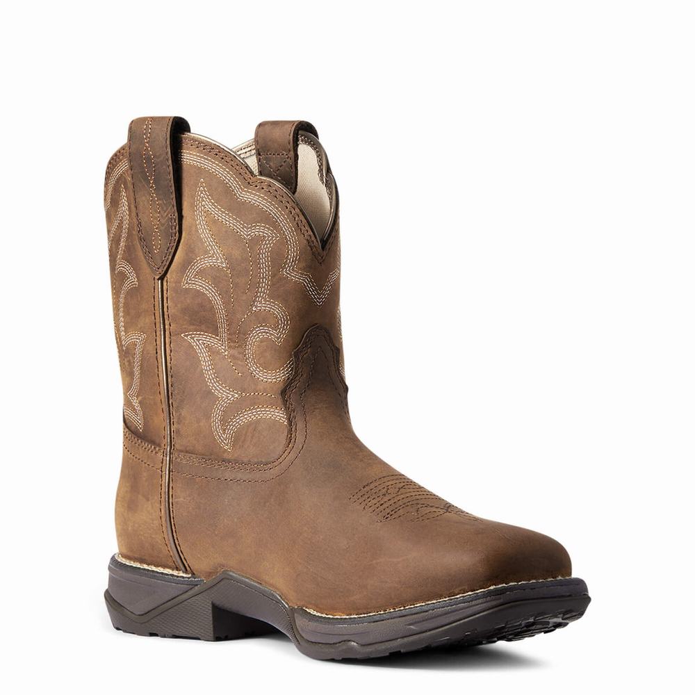 Brown Women's Ariat Anthem II Waterproof Waterproof Boots | 1659-XTQLU