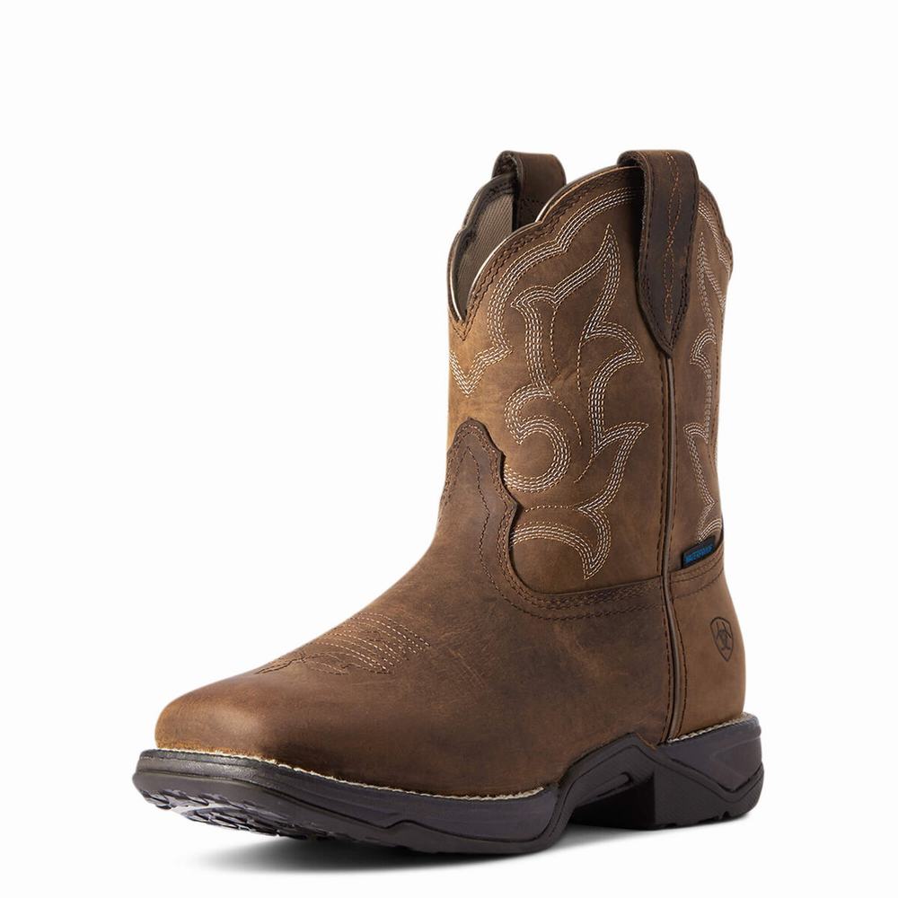 Brown Women\'s Ariat Anthem II Waterproof Waterproof Boots | 1659-XTQLU