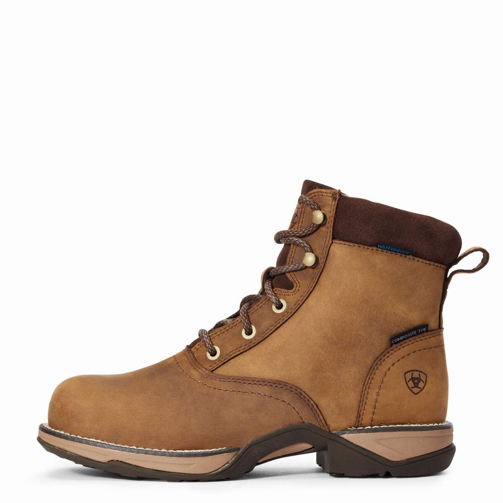 Brown Women's Ariat Anthem Round Toe Lacer Waterproof Composite Toe Work Boots | 7596-QIWGM